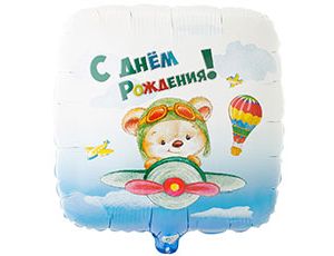 FM Круг С ДР Мишка-пилот 