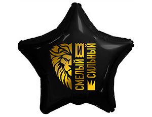 FM Звезда смелый и сильный