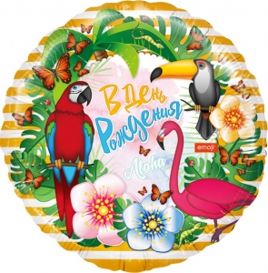 FM Круг, В День Рождения, Джунгли 18"/45 см